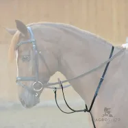 Martingals Ecoline Kavalkade