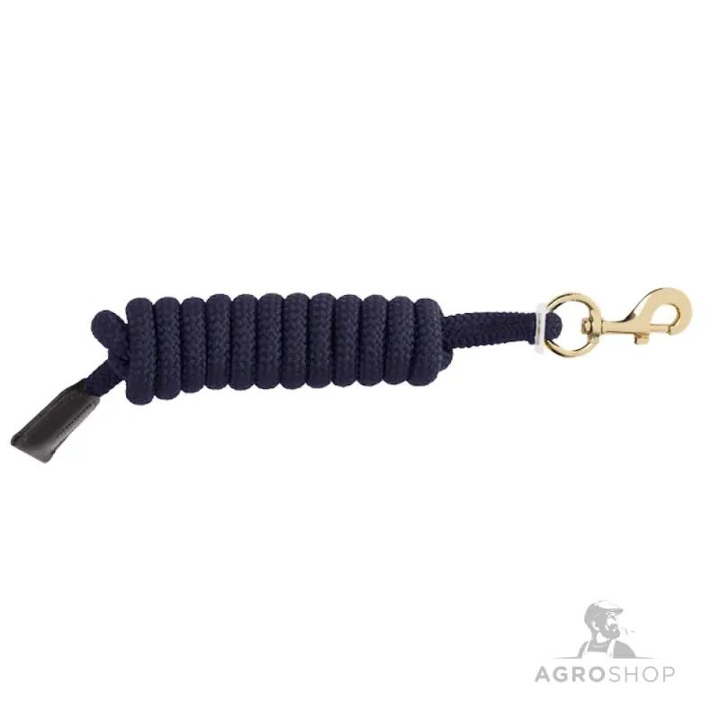 Pastaigu pavada Brass Kavalkade