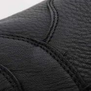 Puszābaki Lucius Kavalkade