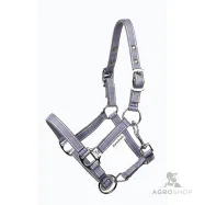 Apauši Shetty Shorty Kavalkade