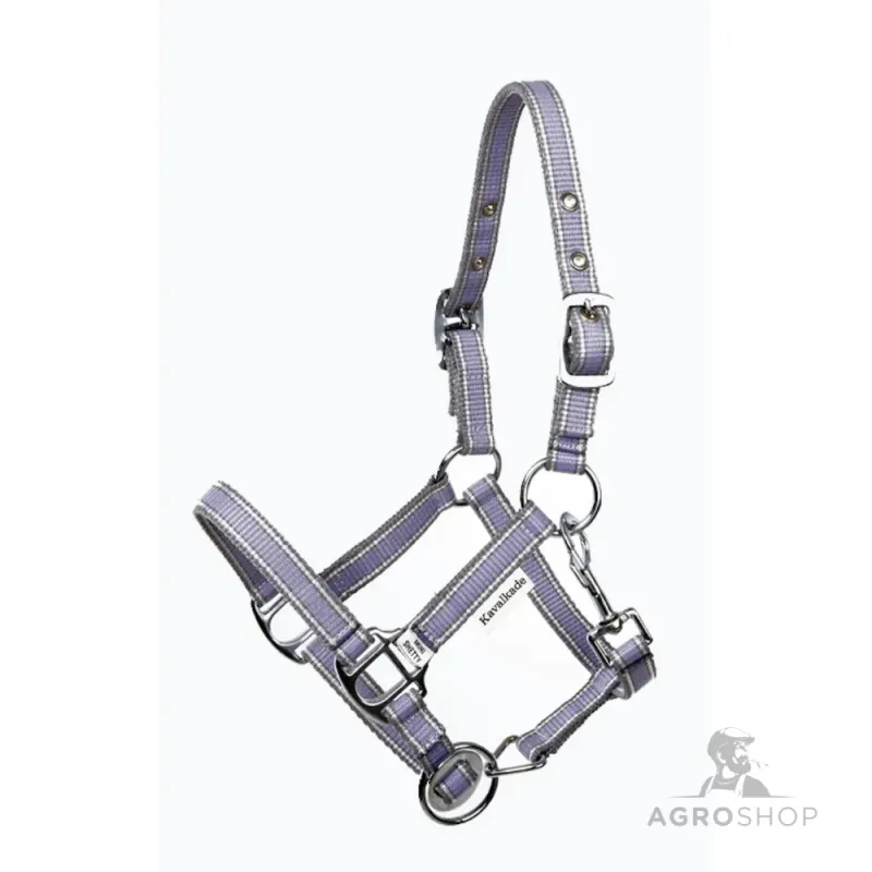 Apauši Shetty Shorty Kavalkade