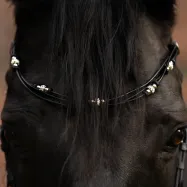 Pieres siksna Grace Kavalkade