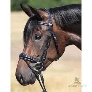 Iemaukti Ivy Plus Kavalkade