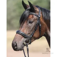 Iemaukti Ivy Plus Kavalkade