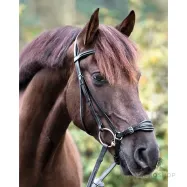 Iemaukti Levana Kavalkade