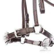 Iemaukti Levana Kavalkade