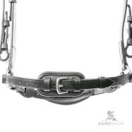 Iemaukti Levana Kavalkade