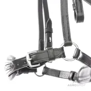 Iemaukti Levana Kavalkade