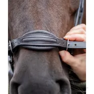 Iemaukti Levana Kavalkade