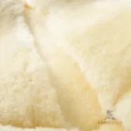 Aitādas seglu paliktnis Trim Kavalkade