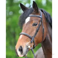 Iemaukti Akila Hunter Kavalkade