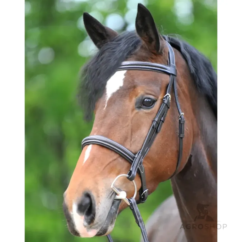 Iemaukti Akila Hunter Kavalkade