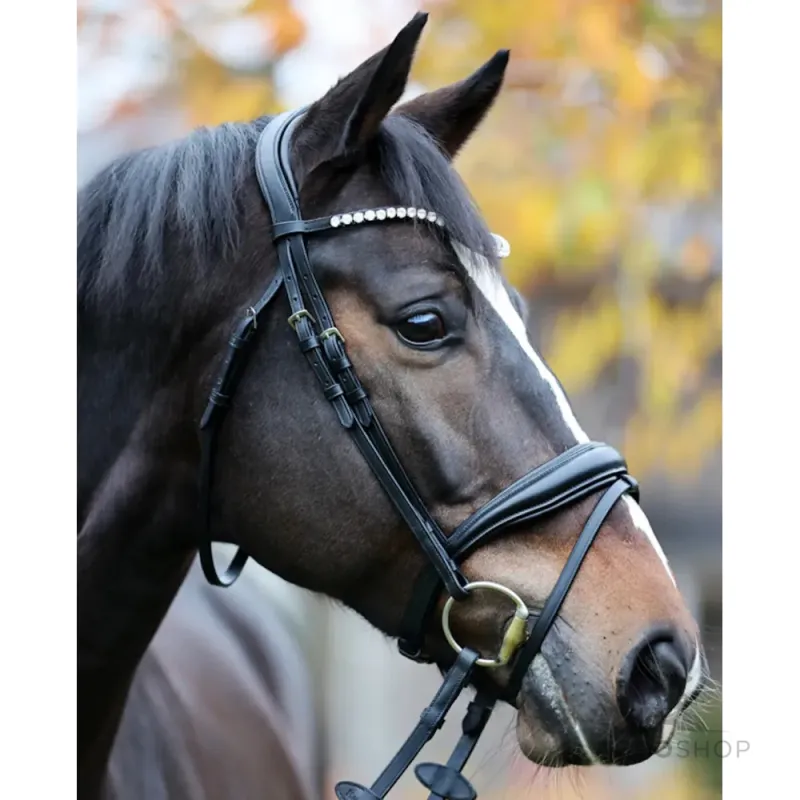 Iemaukti Juliana Patent Kavalkade