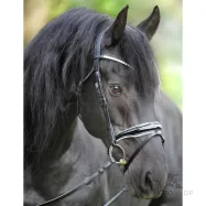 Iemaukti Juliana Patent Kavalkade