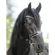 Iemaukti Juliana Patent Kavalkade