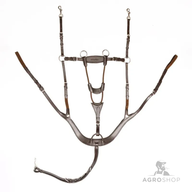 Martingals ar krūšu siksnu Caya 5 Kavalkade