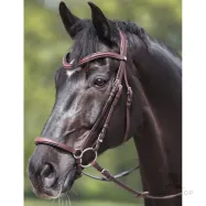 Iemaukti Everana Hannover Kavalkade