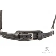 Iemaukti Everana Hannover Kavalkade