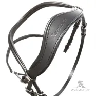 Iemaukti Everana Hannover Kavalkade