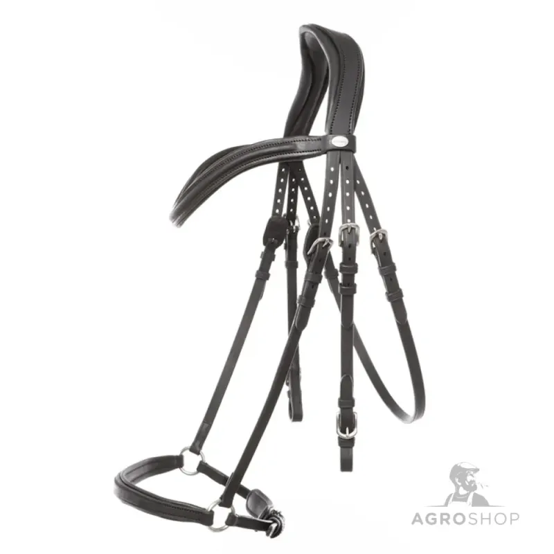 Iemaukti Everana Hannover Kavalkade