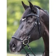 Iemaukti Everana Hannover Kavalkade