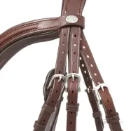 Iemaukti Everana Hannover Kavalkade