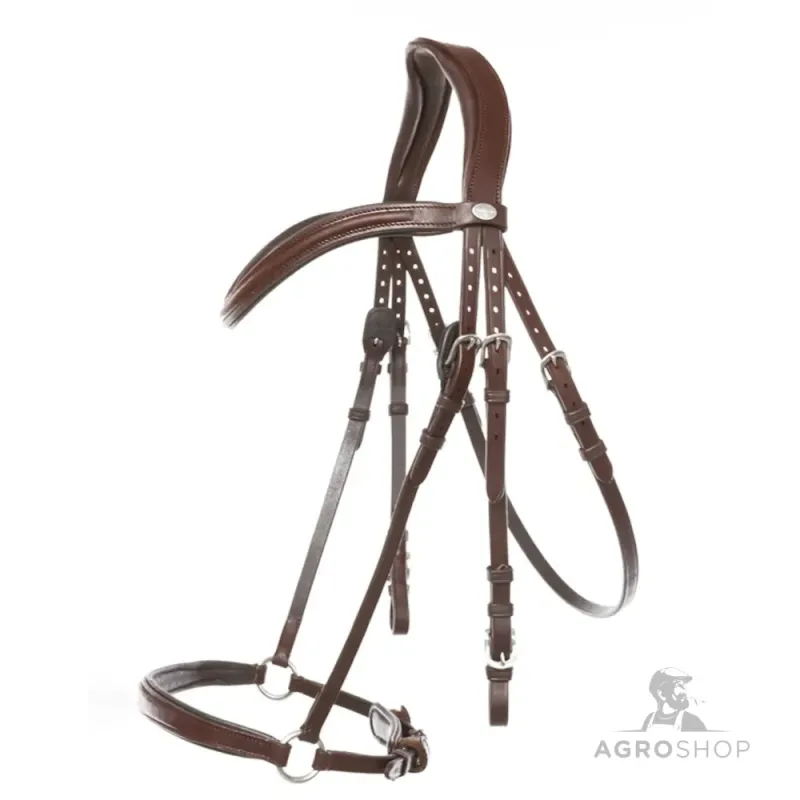 Iemaukti Everana Hannover Kavalkade