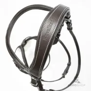 Iemaukti Diandro Mexican Kavalkade