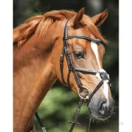 Iemaukti Diandro Mexican Kavalkade