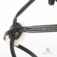 Iemaukti Diandro Mexican Kavalkade