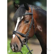 Iemaukti Ivy Kavalkade