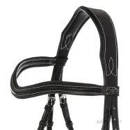 Iemaukti Ivy Kavalkade