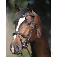 Iemaukti Ivy Kavalkade