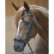 Iemaukti Isabella Hannoverian Kavalkade