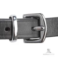 Iemaukti Isabella Hannoverian Kavalkade