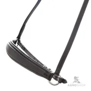 Iemaukti Isabella Hannoverian Kavalkade