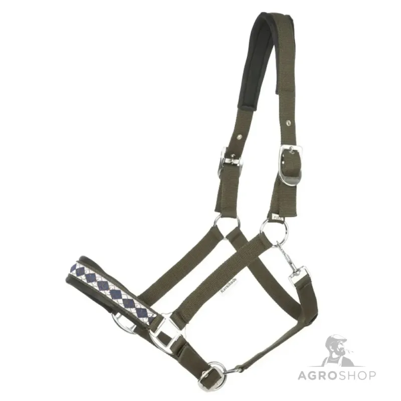 Apauši Draft Horse Classic Kavalkade