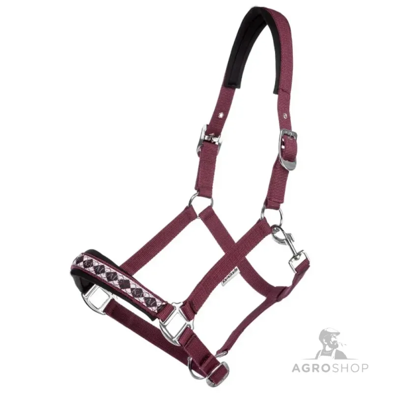 Apauši Draft Horse Classic Kavalkade