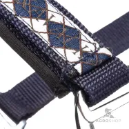 Apauši Draft Horse Classic Kavalkade