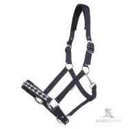 Apauši Draft Horse Classic Kavalkade