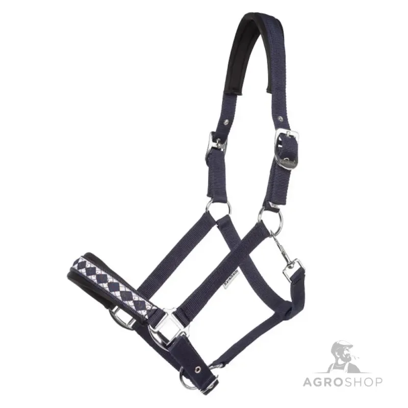 Apauši Draft Horse Classic Kavalkade