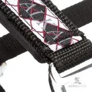 Apauši Draft Horse Classic Kavalkade