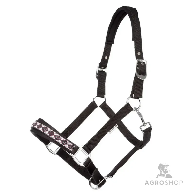 Apauši Draft Horse Classic Kavalkade