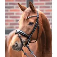 Pieres siksna Duo Slim Kavalkade