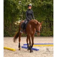 Mīksti treniņu šķēršļi  Groundwork Waldhausen