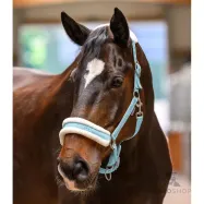 Apauši Elegant Waldhausen