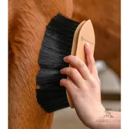 Putekļu zirgu suka Exclusive Line Waldhausen