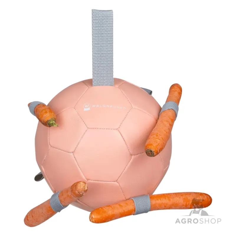 Burkānu bumba Waldhausen