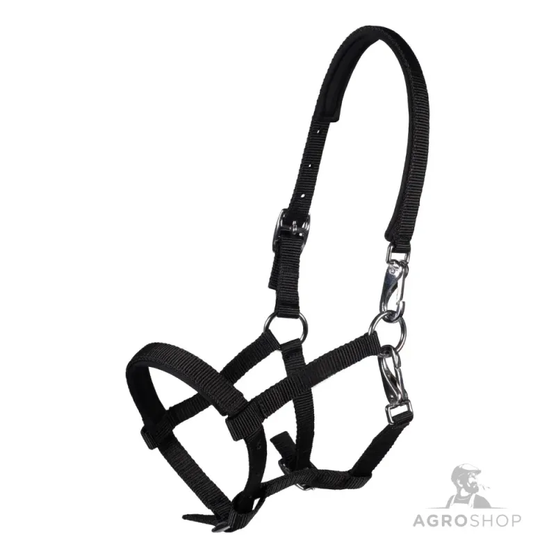 Kumeļu apauši Millie HKM