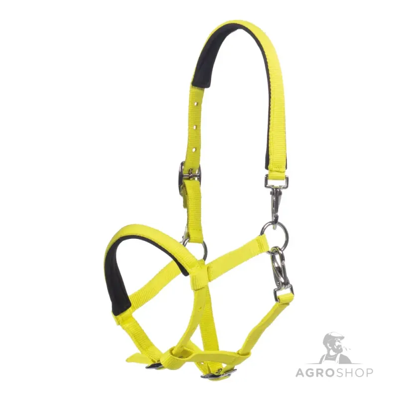 Kumeļu apauši Millie HKM